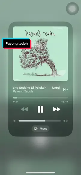 #payungteduh #untukperempuanyangsedangdalampelukan #musikindonesia #song #spotify 