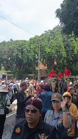 Parade gajah juga turut memeriahkan hajad dalem Ngayogyokarto Hadiningrat #gerebegmulud  #jogjaistimewa  #jogja24jam  #fyppppppppppppppppppppppp  #viraltiktok 
