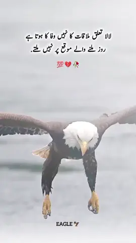 #viraltiktok #viraltiktok #viraltiktok #foryoupageofficiall #foryoupageofficiall 