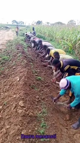 daura mesansti #Autaaboki #copcup #garba #yagamen1 #viral #momeegwambe #hamis ###ubrekadorayi #copcu #hamisubrekadorayi #amen1 #mun #Aliyunurudeen #gausisamazagudu #nidake #yag #viralvideo #baddoo 