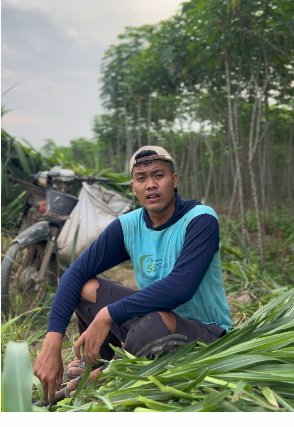 Menyala 🔥😂#peternakmuda #masukberanda #viral #fyp #trending 