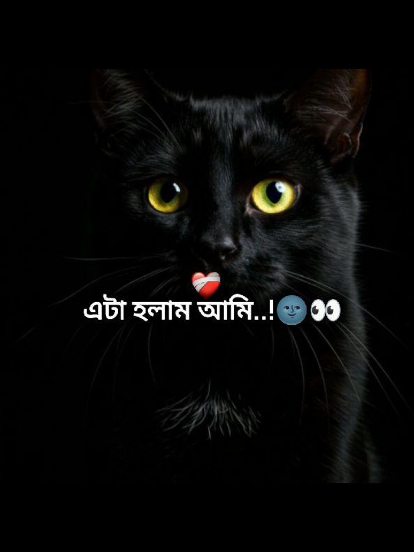 এটাই আমি..!😩🥲#foryoupage #foryoupage🌸 #foryoupage🌸💝 #its_me_durjoy07 @For You @TikTok @TikTok Bangladesh 