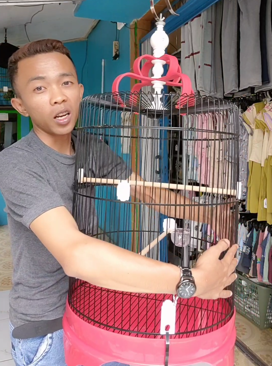 Nih ukuran 42 buat burung jalak suren cocok #sangkar #sangkarburung #fyp 