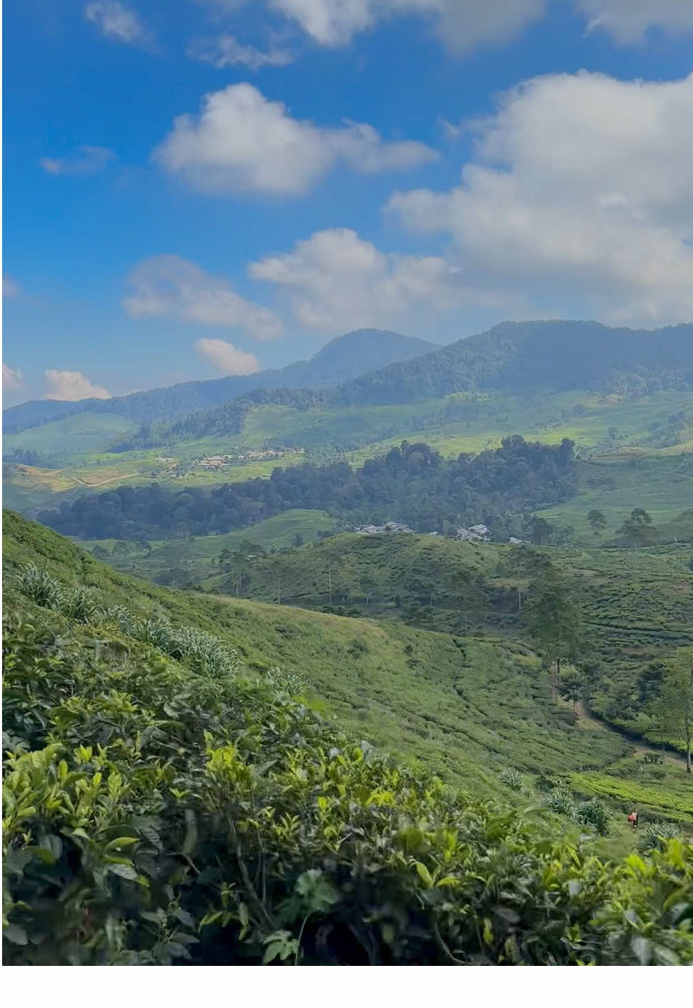 fomo ke telaga saat,viewnya sesuai ekspetasi,jalanan udah bagus🥹❤️ #telagasaatpuncak #view #trend #fypage 