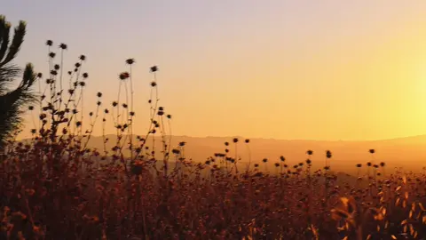 #sunset #view #fyp #fypシ #foryoupage 