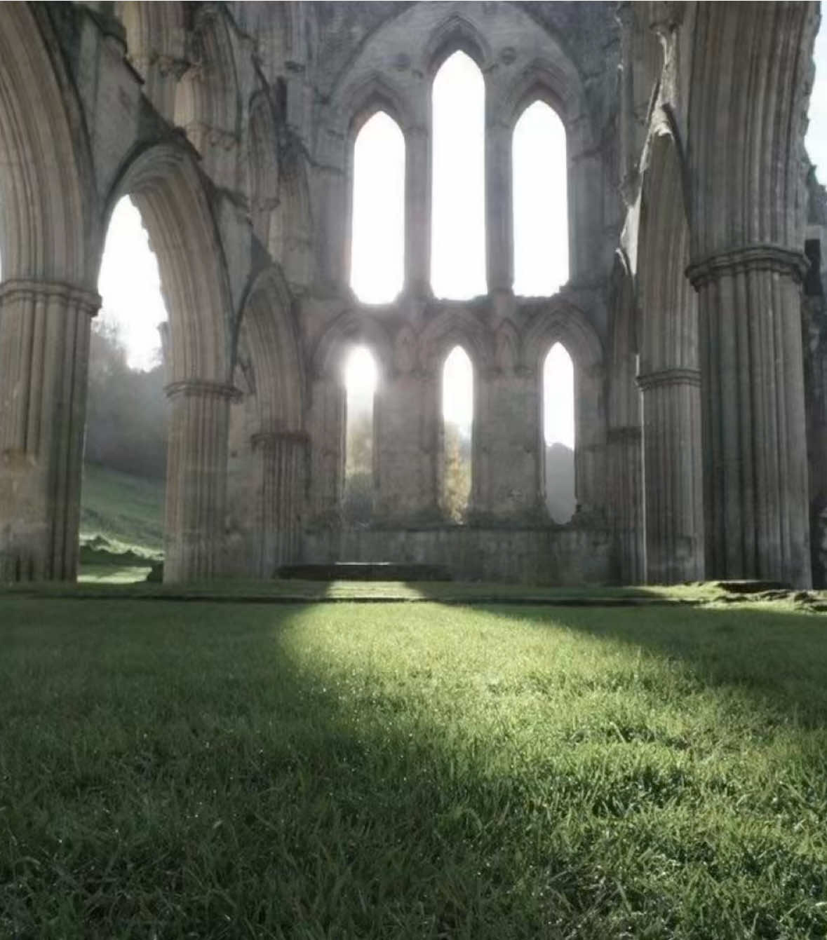 #thelegendofzelda #medieval  