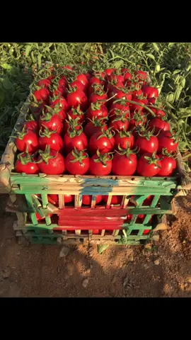 #اللهم_صل_وسلم_على_نبينا_محمد #جمعه_مباركة #following #صلي_على_محمد #موسسه #الهواري #الشقيان_كسبان👌💯💯💯 #مجرد________ذووووووق🎶🎵💞 #fyppppppppppppppppppppppp #اذكروا_الله #MANDO 