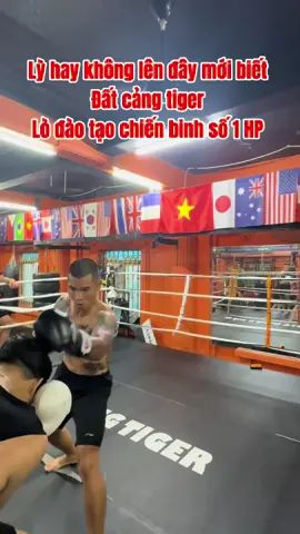 #datcangtiger lò đào tạo chiến binh số 1 #haiphong tìm các kèo giao luu kết giao huynh đệ 4 phương 