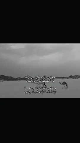 #اكسبلور #قصايد 