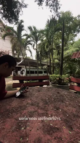 #fyppppppppppppppppppppppp #ฟีด 