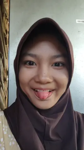 orang idiot