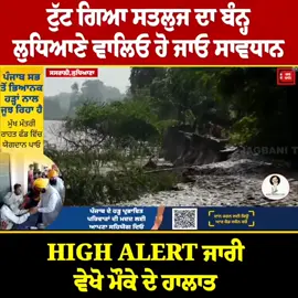 #satluj_river #satluj #