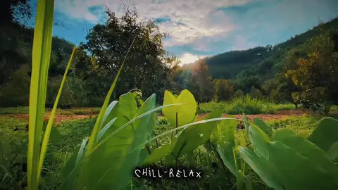 Chill and Relax #chillwithme #prada #viral #tramgiamsoc #CapCut 