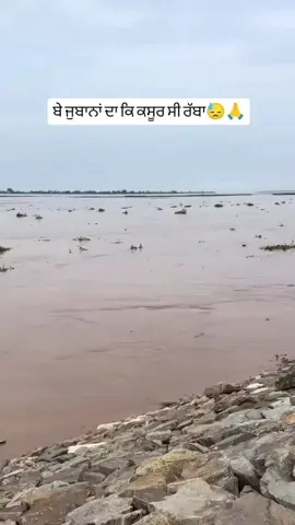 #ਵਾਹਿਗੁਰੂ_ਸਰਬੱਤ_ਦਾ_ਭਲਾ_ਕਰੀਂ #ਵਾਹਿਗੁਰੂ_ਸਰਬੱਤ_ਦਾ_ਭਲਾ_ਕਰੀਂ #foryourpageofficiall #tiktokviralvideo #foryourpageofficiall 