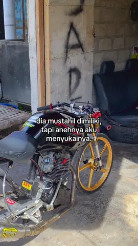 #tigersknda #ponorogo24jam #fyp #herexponorogo_id #herexjatim 