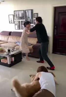 #xuhuongtiktok #vuivemoingay❤️ 