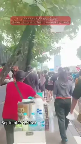 The immediate trigger for this protest was a controversial allowance policy for members of parliament. #Indonesia #Protest #Government #Politics