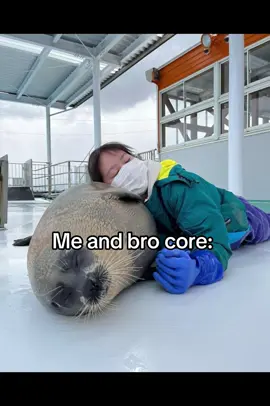 Yes that's us 😋 #fyp #xzyabc #seal #sealsoftiktok 