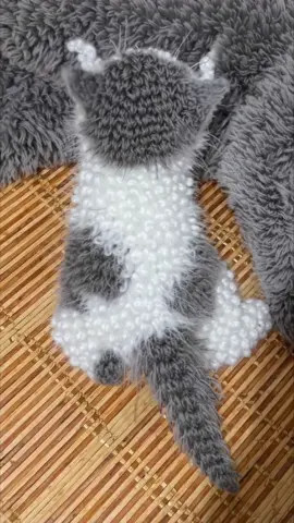 Cute #cutecat #kitten #kucing #crochetcat #catsoftiktok 