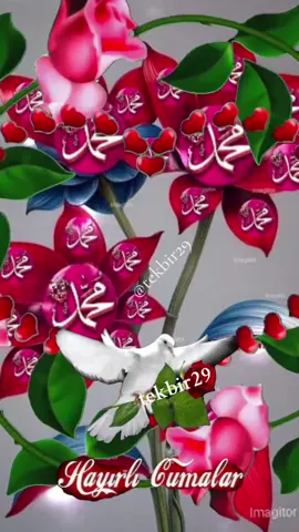 #viral_video_tiktok #cejour-là 