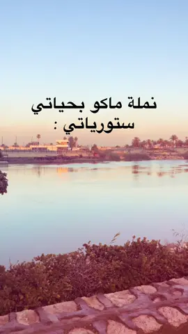 منو يتفق  😂💔 #fyp #foryou #viral #capcut #الشعب_الصيني_ماله_حل😂😂 