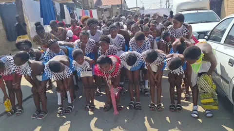 2nd day of uMhlonyane kaMaNyambose🤭❤️🥳🔥 #intombinto #umhlonyane #amakhosazana_esizwe #ubuntombi_ukuzigcina🥺🙌 #ezasewoolies🔥❤️ 