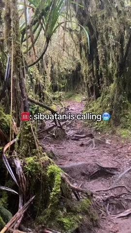 Info yang mau ikut 🥶#sibuatan2457mdpl #sibuatanmontain #fageforyou#beranda  