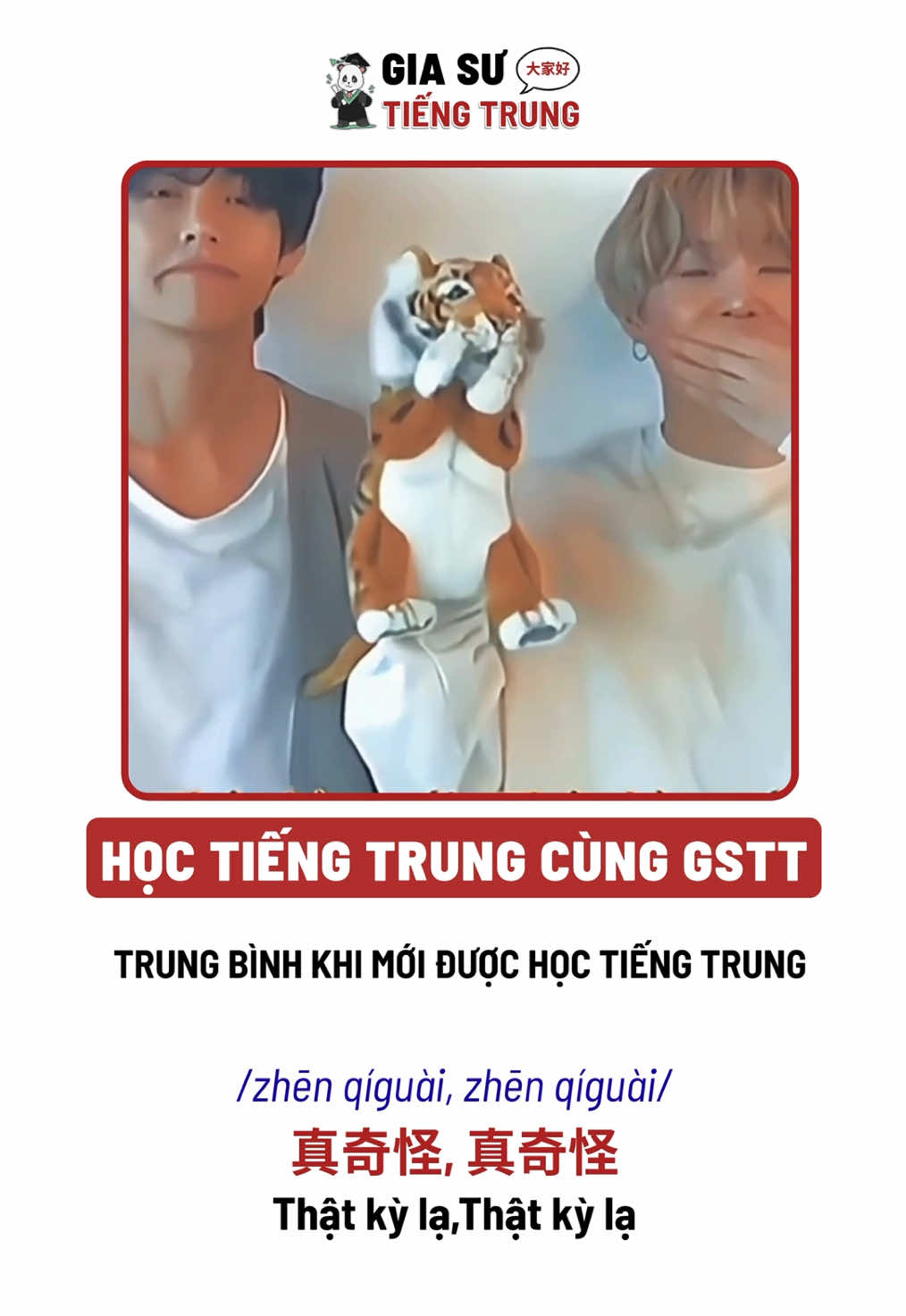 BTS- Thấy bài hát tiếng trung này có quen không nè 🙂‍↔️#Giasutiengtrung #tiengtrung #BTS #Vuinhon