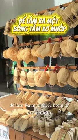Có nhiều anh chị hay nói: ‘Mướp ngoài chợ 10 ngàn một trái, mua bông tắm chi cho tốn tiền?’ 👉 Nhưng thật ra, để làm ra một chiếc bông tắm xơ mướp, chúng tôi phải qua cả chục công đoạn: từ trồng, phơi, chọn xơ, đến tạo hình bằng tay. 🫶🏻Chiếc bông tắm không chỉ là xơ mướp, mà là sự tỉ mỉ, lành tính cho da và cả một lối sống xanh. #LangMuop #xuhuong #greenlife #bongtam #lamdep 