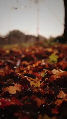 Định mệnh #tìnhyêu #đốinhânxửthế #tâmtrạng #ngẫm_và_nghĩ #xuhuongtiktok #đắcnhântâm #tâm_trạng_buồn #buông 