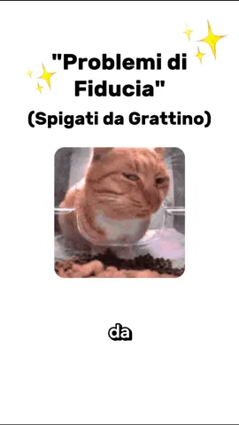 Problemi di fiducia Spiegati da Grattino #gatti 