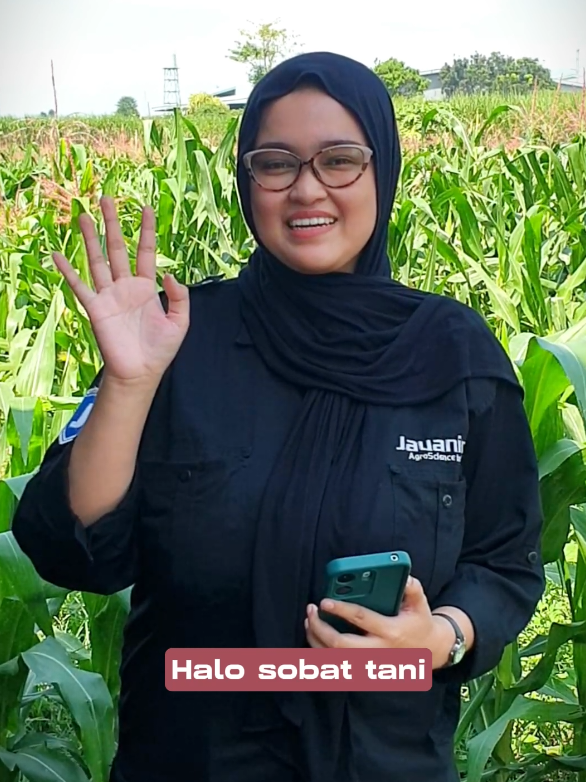 hallo sobat tani👋 hati hati kalau tanaman mudah terkena penyakit, bisa jadi karena kurangnya asupan kalsium #fyp #trending #viral #javanicaagroscienceindonesia #petaniindonesia🇮🇩🇮🇩🇮🇩🌿🌿 