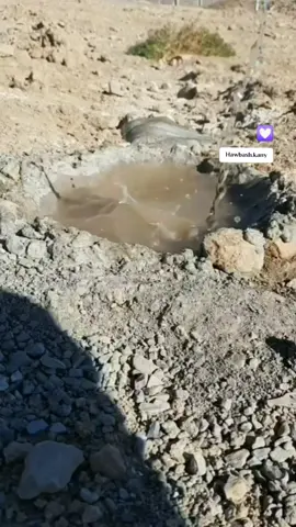 #سبحان_الله_وبحمده_سبحان_الله_العظيم 