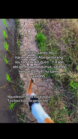 #fyp #storysunda🍁 #katakatasunda #4u 