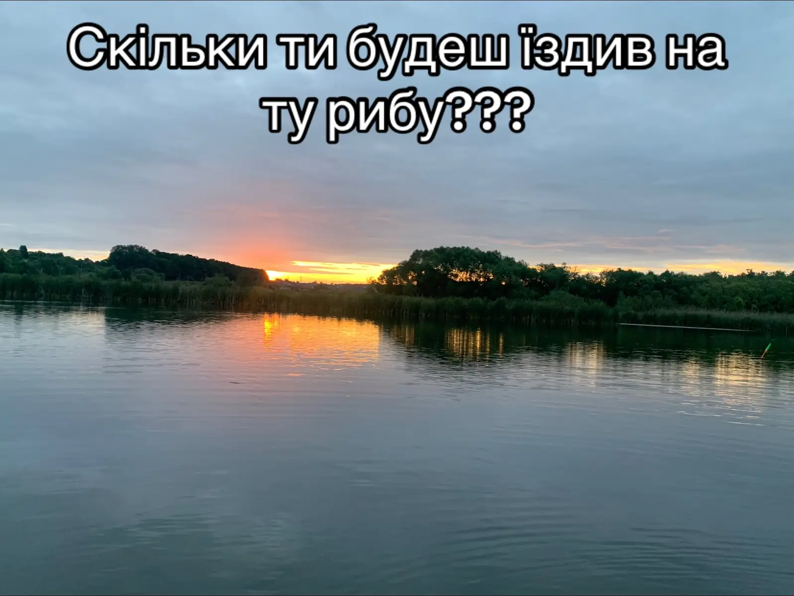 #fishing#рибалка #трофей #карп #карпфішінгукраїна #коропи #карпятники🎣🐟 #коропятники #ставокрибалка   