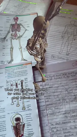 😵‍💫🥺#anatomy #exam #medicalstudent 