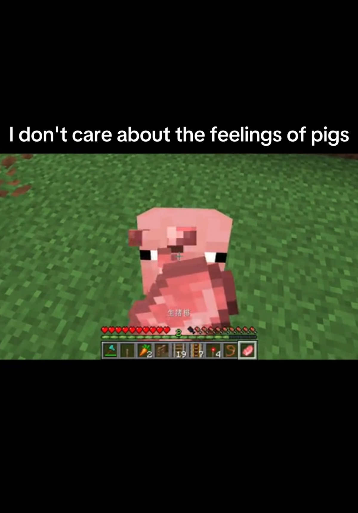 I don't care about the feelings of pigs#Minecraft #mc 
