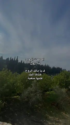 ❤️‍🩹 . . . . . . . . . . . . . . . . . . . . . #اللهم_صلي_على_نبينا_محمد #قران  #فولو #ضيقه #اكسبلور 