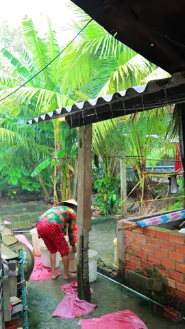 Trộm nhìn nhau qua bao mùa mưa#mientay 