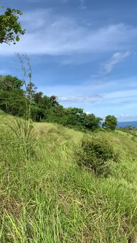 — lost in the quiet that only the mountains understand 🌱🍃 #nature #fyp #vibes #foryou #bobonao 