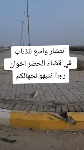 #بنيتي #قضاء_الخضر #شعب_الصيني_ماله_حل😂😂 #السماوه #المثنى 