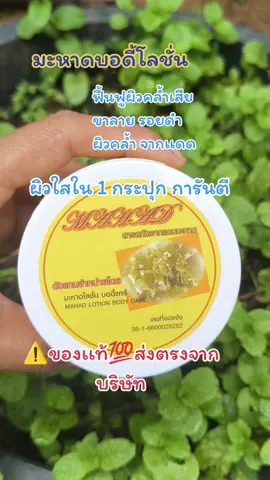 #หัวเชื้อผิวขาว #มะหาด #หัวเชื้อผิวกาย 