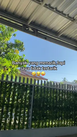 #fyp #bugispride🏝️🔥 