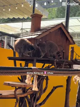 Xin đừng cãi nhau, xin đừng đánh chửi nhau 😅😝😁 #xuhuong#fyp#funnyvideos 