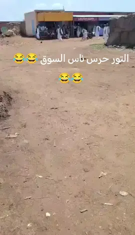 #الرياض_جده_مكه_الدمام_المدينه_الدوادمي_وادي_درشه #دراعه_لي_الادب_والطاعه #الشعب_الصيني_مالى_حل 