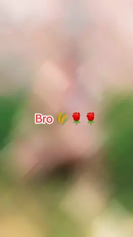 #Basra #🌺🌾🌷❤🥀🌹💐💞😍😘😍 
