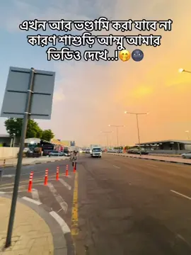 #ডিয়ার_শাশুড়ি_আম্মা_আমি_ভালো_হয়ে_গেছি🌚#CapCut #dubai🇦🇪tiktok #unfreezemyacount 