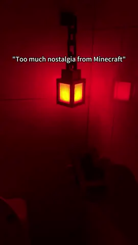 #Minecraft #lanterns #light #gaming #toy 