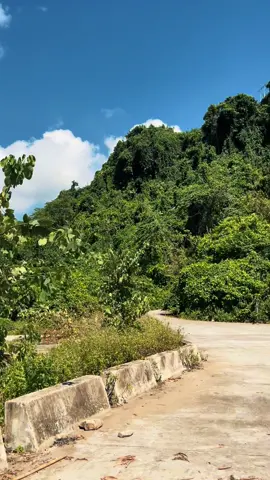 Về Tân Kỳ 💦💕#nghean 