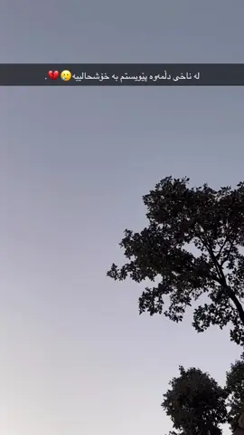 پێویستم پێیەتی💔🥀#bazi #barzani #tiktok #imvrou✅ #actives? #foryourpage #fypシ゚viral 